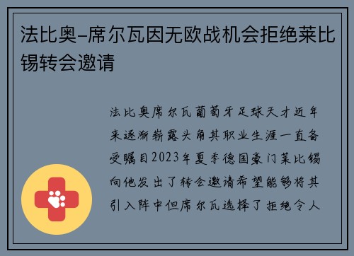 法比奥-席尔瓦因无欧战机会拒绝莱比锡转会邀请